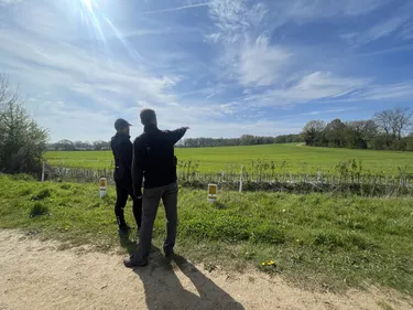 Microsoft Teams image 13