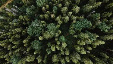 Olena sergienko 3 Bl VI Lvh9h M unsplash