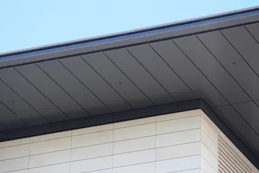 Shutterstock 2254420323