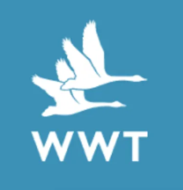 WWT Logo