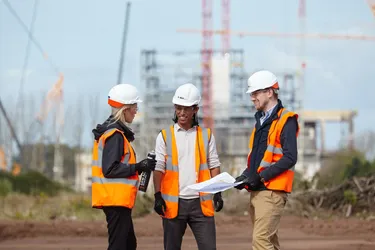 b and a staff providing environmental consultancy support