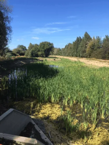 Mountpark development