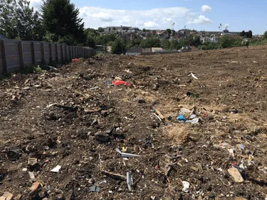 overgrown derelict site