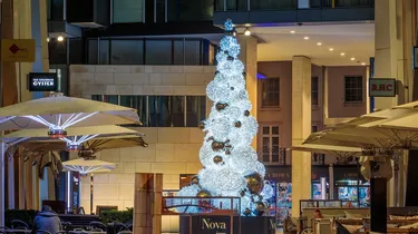 Christmas nova