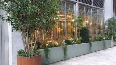 planters 1