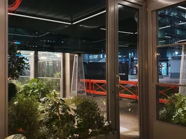 Glass Doors and Windows