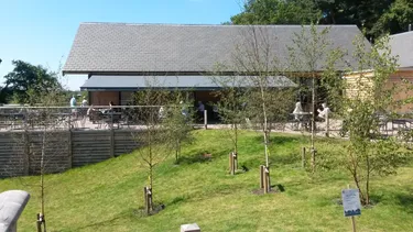 far view
