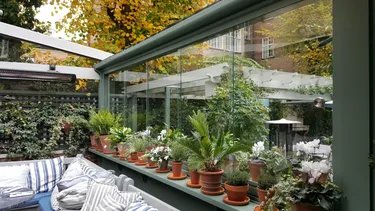 roof open class windows