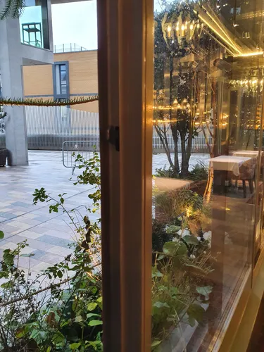 Window open