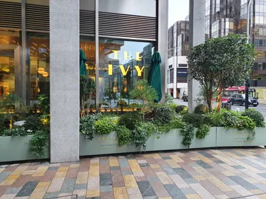 view from pavement
