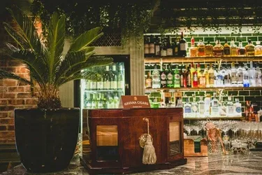 Palm and bar