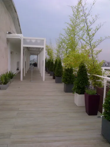 open terrace