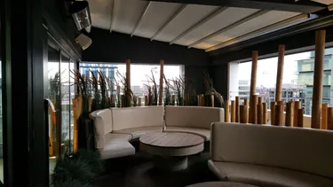 Bamboo