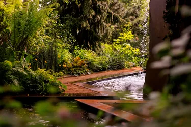 Chelsea Flower Show 2022