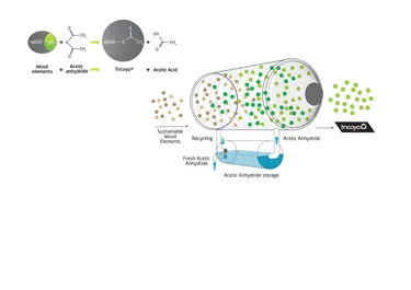 MTX technology acetylation