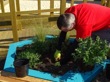 Man planting flowers
