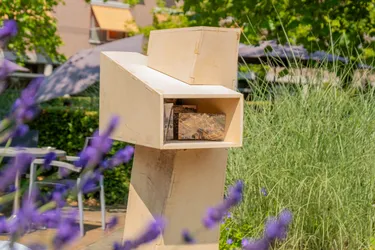 Eindhoven Peepbox Sculpture