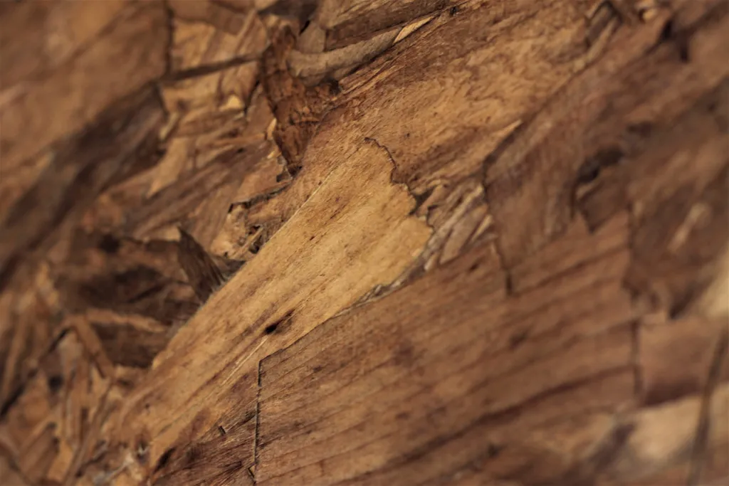 Smartply FR closeup photo