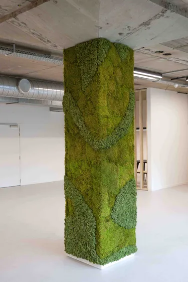 moss walls