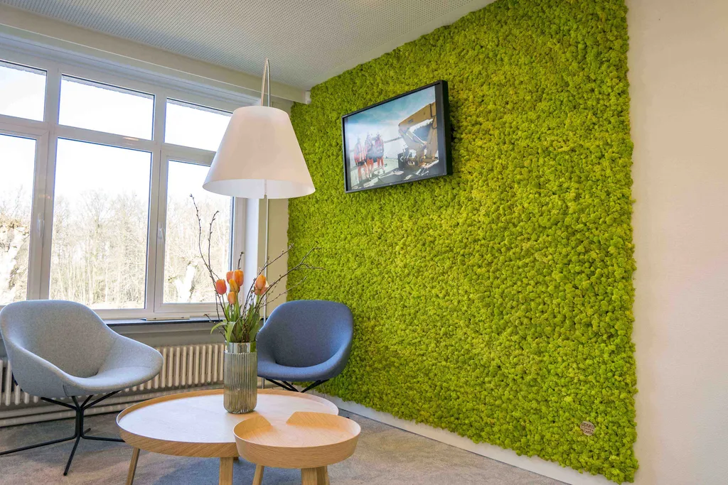 moss walls