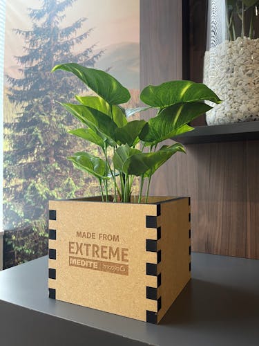 planter