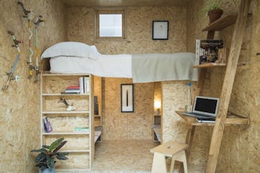 SMARTPLY MAX Studio Bark