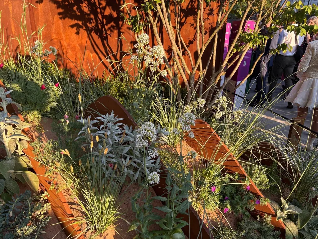 chelsea flower show garden