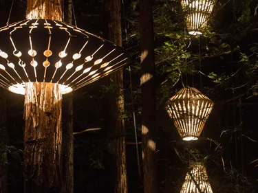 looden Lantern