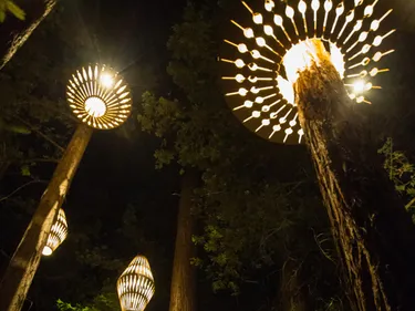 Wooden Lantern