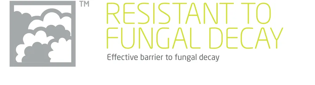 fungal