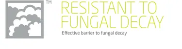 fungal