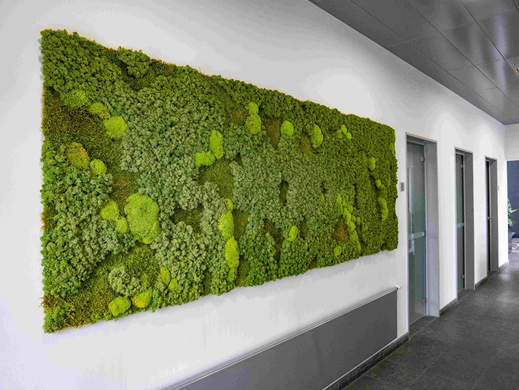 moss walls